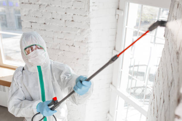 Best Mold Removal for HVAC Installations  in Barrett, TX