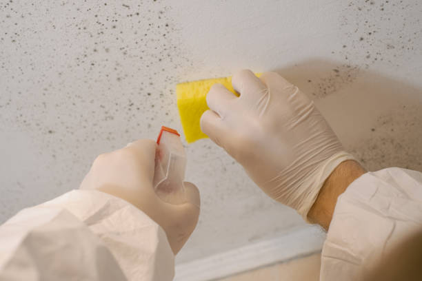 Best Commercial Mold Inspection  in Barrett, TX